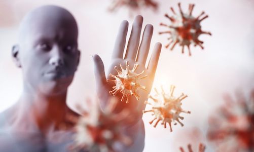 immunité et allergies
